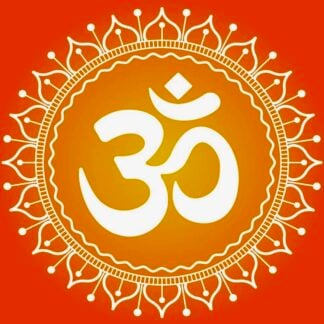 Yoga Videos